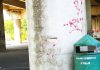 Prencipe: “Ponte Avogadro, fino a oggi solo transenne: perché?”