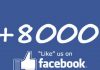 Superati gli 8000 like su Fb e il milione di pagine visitate sul sito: un enorme grazie!
