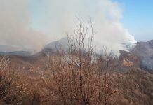 Raddoppia il presidio elicotteristico del nucleo Anti Incendi Boschivi a Varallo Sesia
