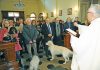 Folla di fedeli in Sant’Antonio per la tradizionale benedizione degli animali