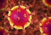 Coronavirus – La Regione: tutti negativi i 15 casi in osservazione in Piemonte