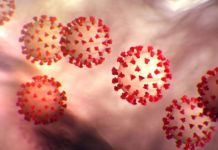 Coronavirus – Sono 19 i nuovi contagi registrati dalla Regione a Vercelli