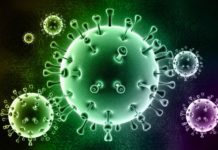 Coronavirus – Sono 86 i nuovi contagi in Piemonte: più di un quarto di essi è nelle Rsa