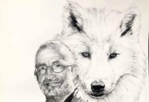 Olmo omaggiato con il suo Lupo Bianco dai disegnatori vercellesi