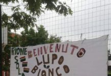 L’Isola onora Carlo Olmo: “Benvenuto, Lupo Bianco”