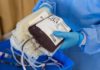 La cura per il coronavirus che sta dando risultati ottimi: il plasma. Sperimentazione anche in Piemonte a Novara