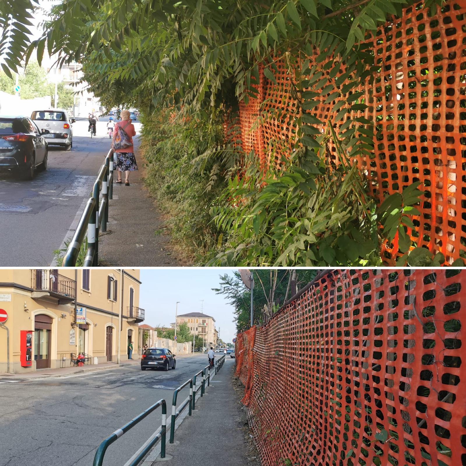 Corso De Rege: ripulito il marciapiede. Ma la giungla lungo la Roggia Molinara?