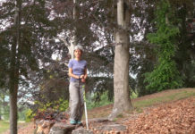 Ad agosto quattro uscite di nordic walking nel Biellese con Fiorella Giarrizzo