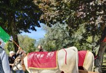 La 584a corsa dei buoi di Asigliano al Gruppo San Vittore. Riconoscimento a Carlo Olmo