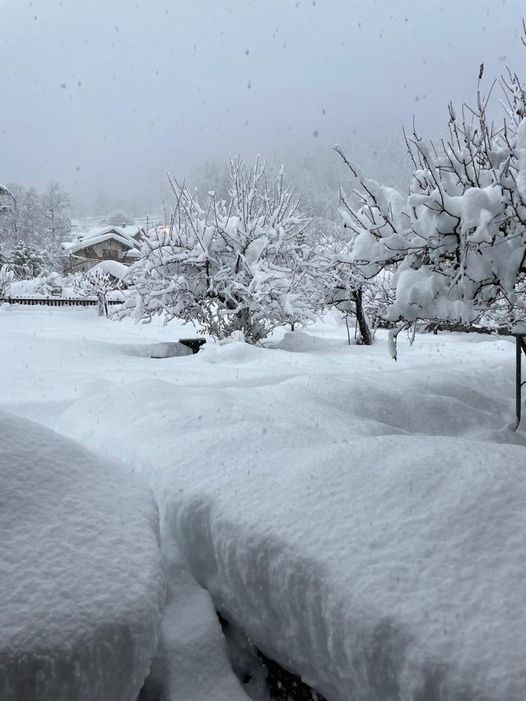 neve alagna