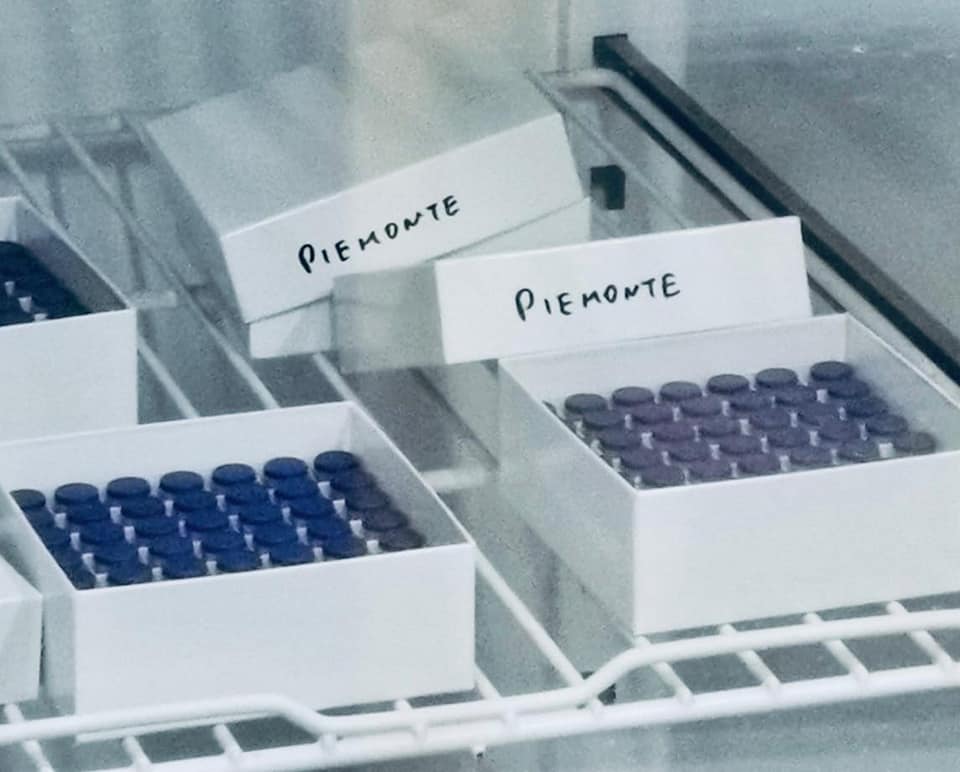 Il Piemonte tra le regioni con la più bassa circolazione del Covid: nel vercellese in una settimana 125 casi in meno