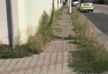L’Isde: l’utilizzo di fitofarmaci come diserbati a Vercelli appare in contrasto con la normativa regionale