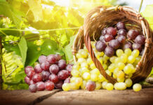 L’uva al centro della tappa vercellese del mercato contadino Campagna Amica