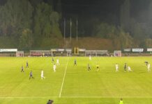 La Pro sciupa due gol di vantaggio e si fa rimontare dal Renate, finisce 2-2