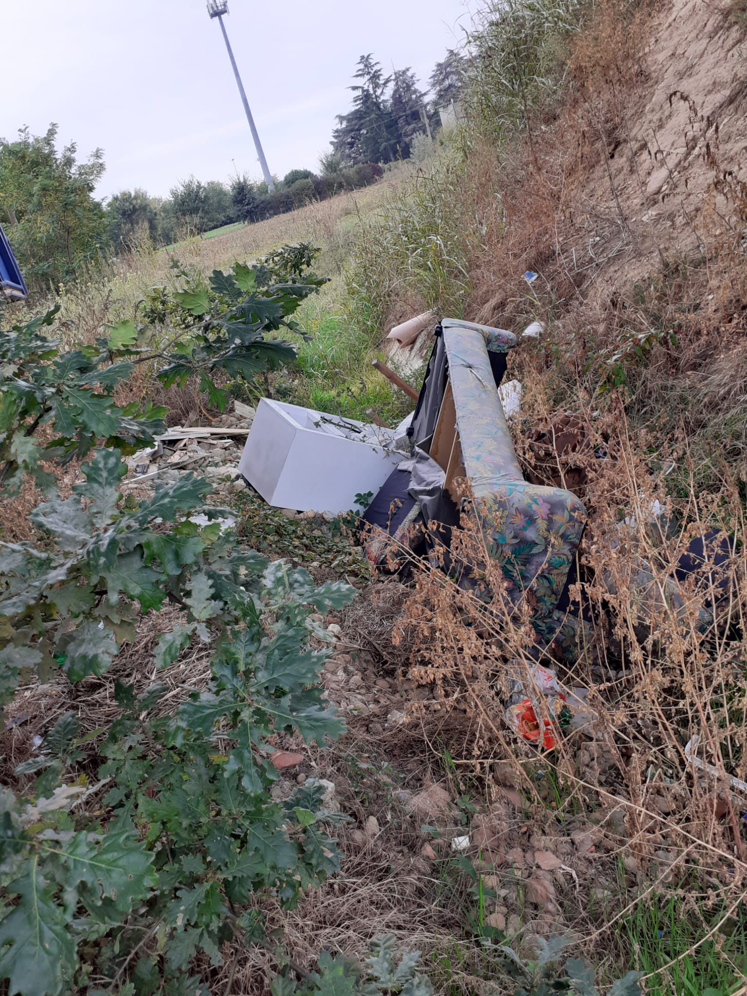 Lotta agli incivili dei rifiuti abbandonati: la Provincia ripulisce le aree laterali delle strade
