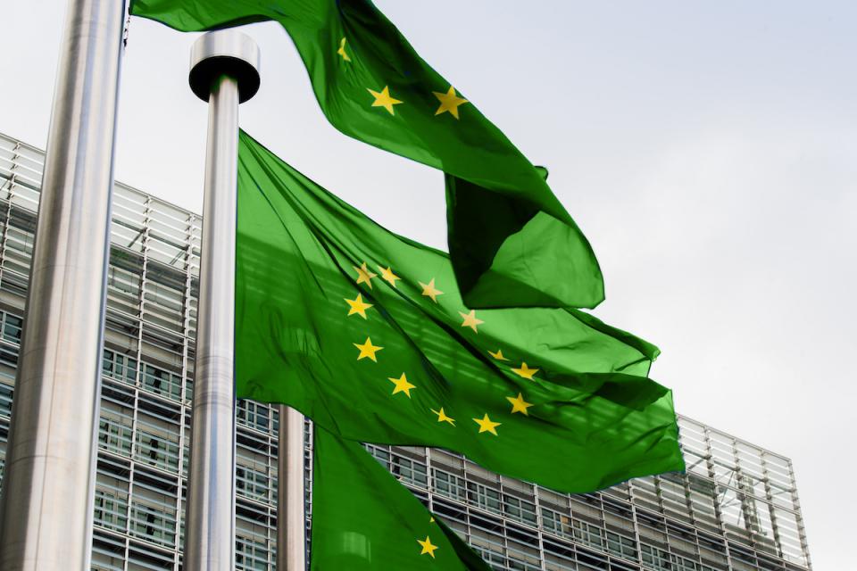 Incontro sul futuro dell’ambiente organizzato da Europe Direct Vercelli