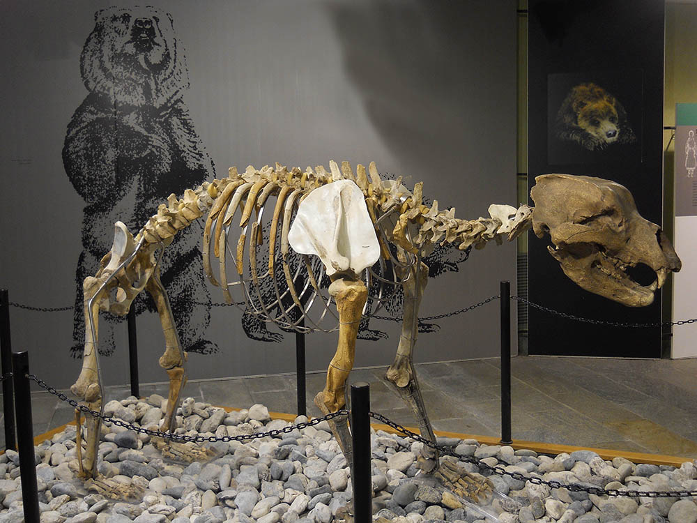 Al Museo Carlo Conti tavola rotonda sul turismo culturale in Valsesia