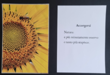 “Accorgersi”, a Borgosesia la mostra dove la poesia incontra la fotografia