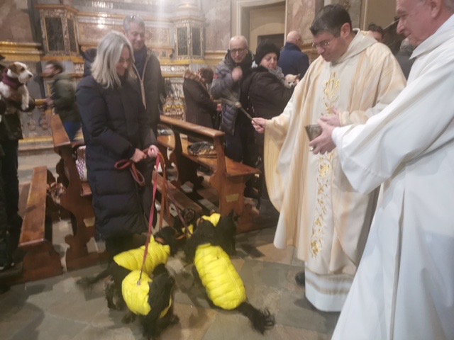 IMG_1771