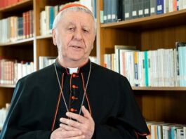 Secondo “Il Foglio” il cardinale Versaldi “regista” della nomina di Robert Prevost a Papa